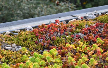 the cost of Buckworth green roof installation