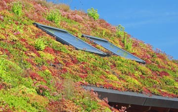 Buckworth living roof systems