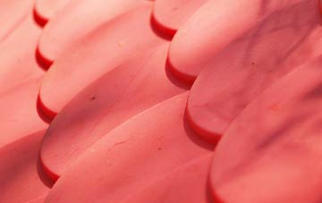 Buckworth plastic roof costs