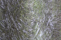 Buckworth fibreglass roof work